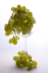 vin raisins bio