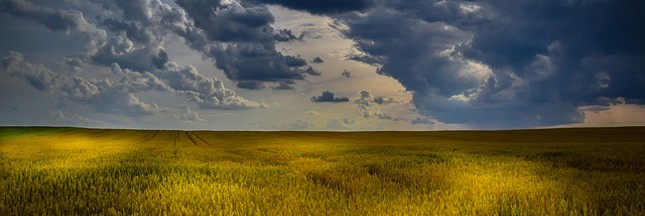 L’Agriculture raisonnée, plus adaptée que la bio ?