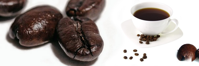 Meo. Développement durable dans le café