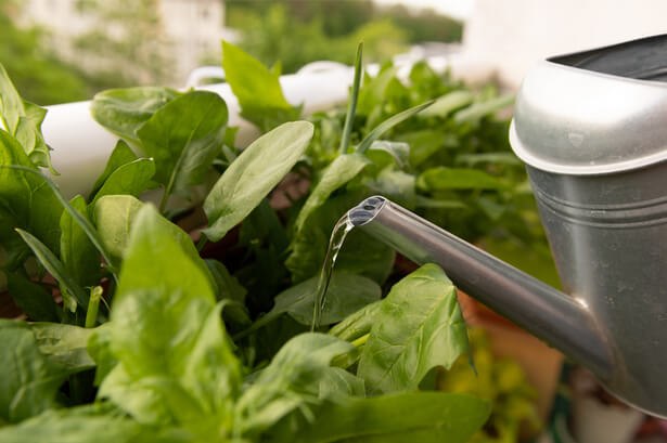 créer potager balcon