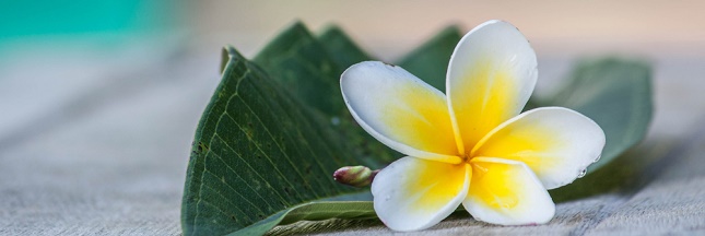 Le monoï : l' huile parfumée naturelle