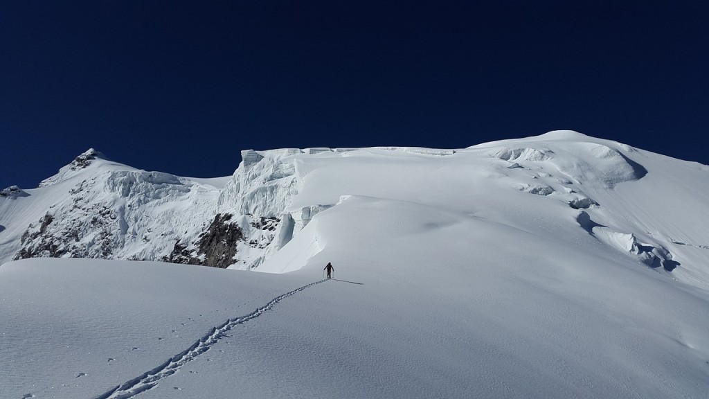 La montagne, un écosystème en péril