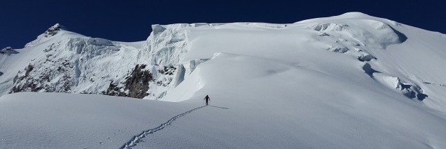 La montagne, un écosystème en péril