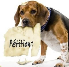 petition-animaux