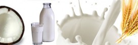 Laits végétaux : alternatives aux laits animaux