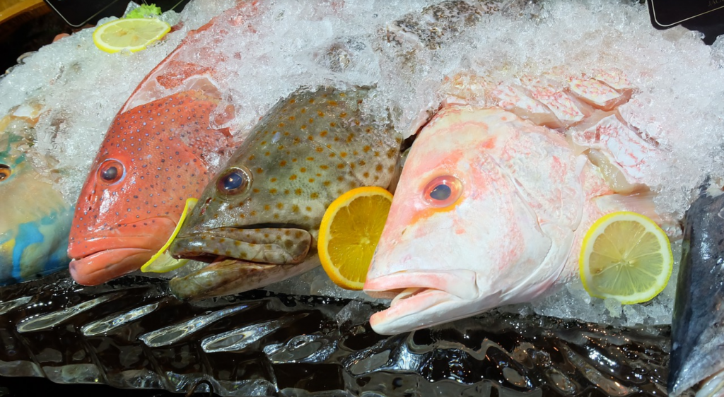 Mr Goodfish ou comment bien choisir son poisson !