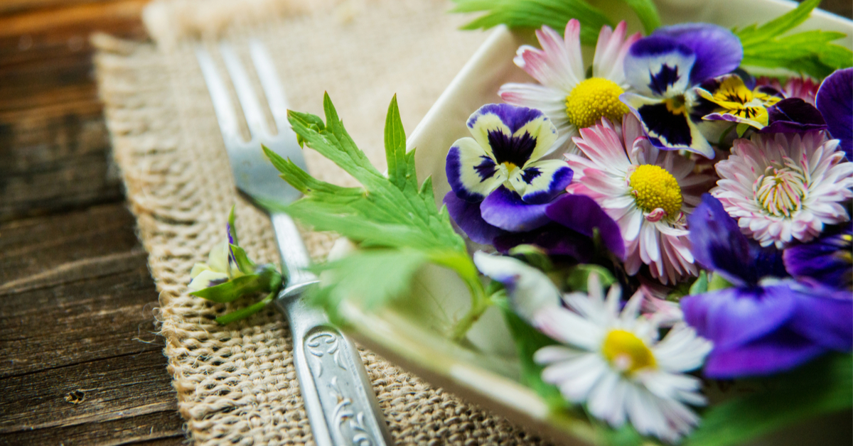 Profitez du printemps pour mettre les fleurs comestibles dans votre assiette Profitez du printemps pour mettre les fleurs comestibles dans votre assiette