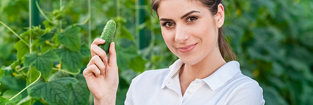 être végétarien devenir végétarisme légumes