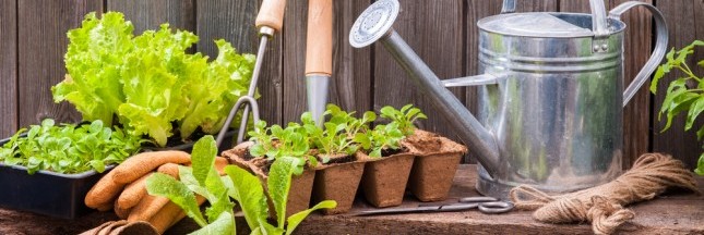 Kokopelli au secours des variétés anciennes de légumes