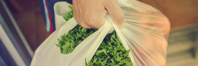 Bioplastique, le plastique végétal pas si fantastique