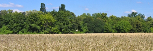 Rhône-Alpes, première région d'agriculture BIO