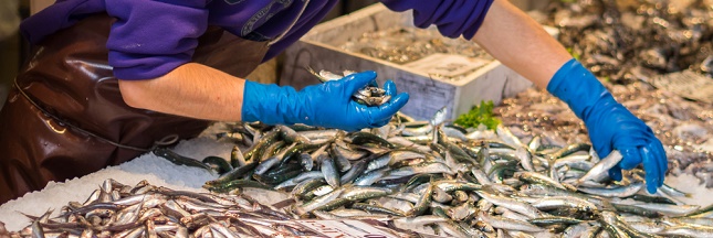 Quelles espèces de poissons acheter ?