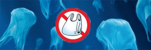 Je dis définitivement non aux sacs plastiques ! Je dis définitivement non aux sacs plastiques !