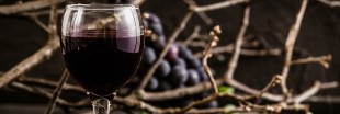 Les vins biodynamiques, l'occultisme au service de Bacchus