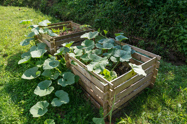 Mon activateur de compost 