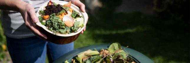 activateur de compost