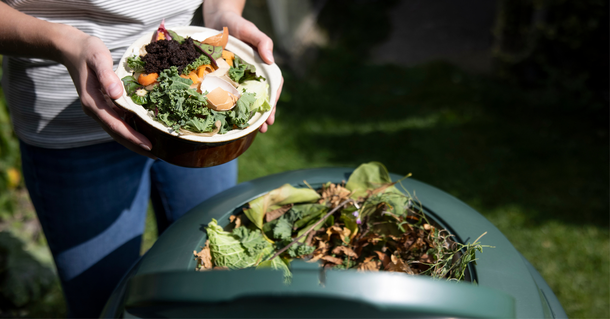 L'activateur de compost, rapide et efficace : tout savoir