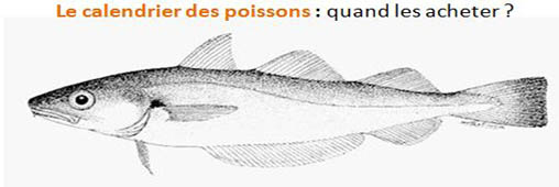 Le calendrier des poissons