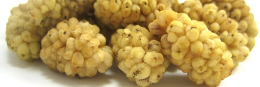 Superfruits : camu-camu, nashi, baobab, mulberries