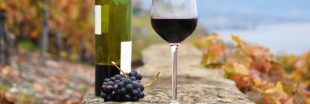 Le vin naturel : une étiquette difficile à déchiffrer