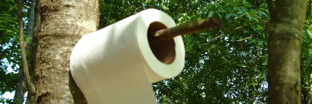 Toilettes sèches : chassez les préjugés !