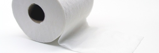Transformez votre papier en papier toilette !