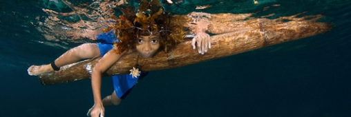 Ocean Art : les plus belles photos du concours 2011