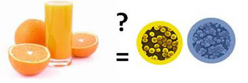 Des jus d’oranges pressés contaminés par des bactéries