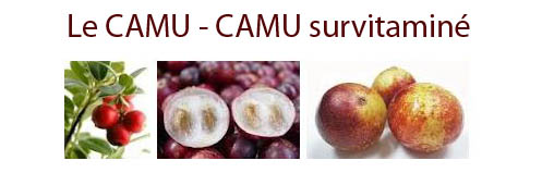 Le camu-camu, champion de la vitamine