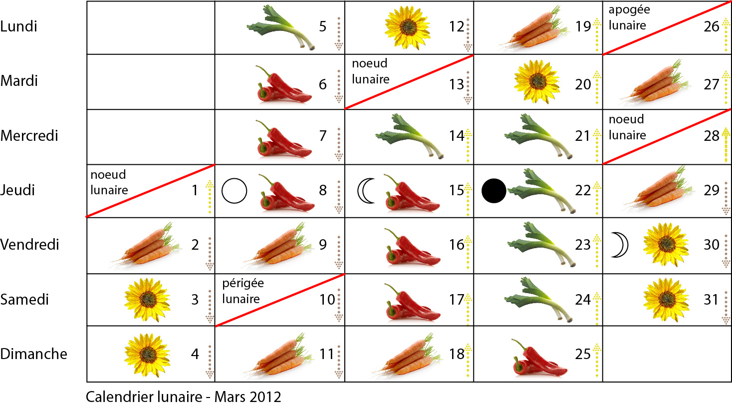 comment planter en fonction de la lune