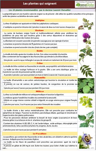 plante #plantes #bienfait #phytotherapie #naturel