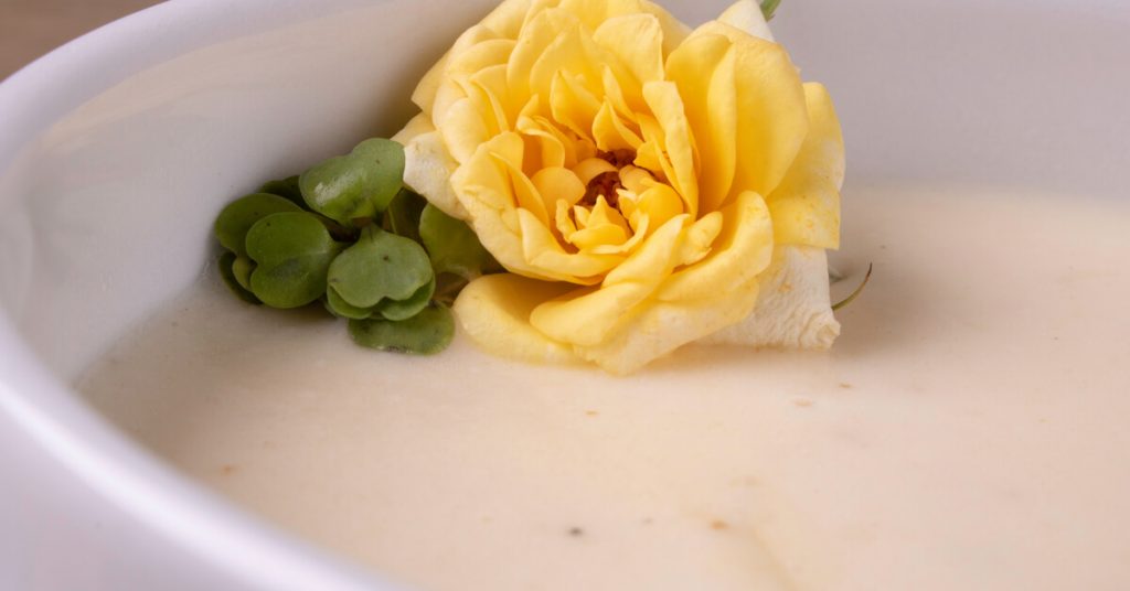 Velouté glacé de coeurs de palmier