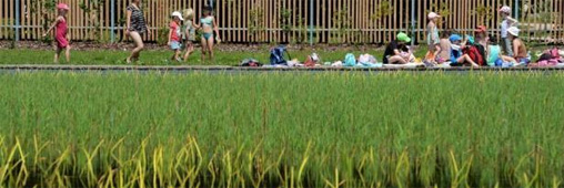 Piscines naturelles publiques : les collectivités françaises font le grand saut