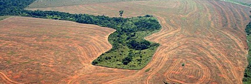 Je signe la pétition contre le barrage de Belo Monte en Amazonie