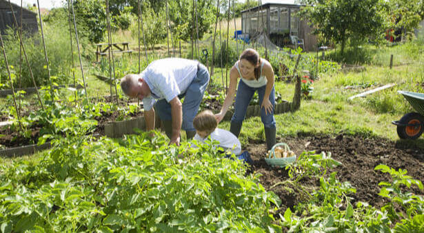 prêt de jardin