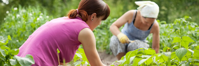 Demain, je prête mon jardin !