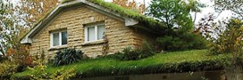 Puits canadien, toit végétalisé : solutions efficaces pour rafraîchir une habitation en été ?