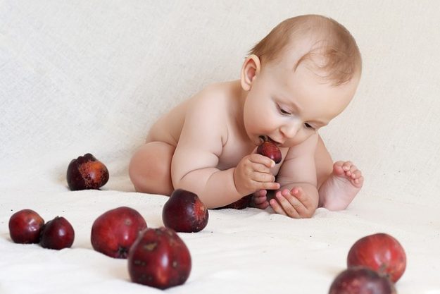 bébé locavore, fruits