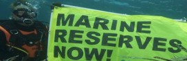 Bonne nouvelle, les réserves marines se multiplient 