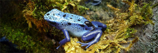 Biotropica, une serre zoologique en Haute-Normandie !