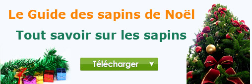 Le guide des sapins de Noël à télécharger