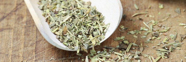 Les Herbes de Provence viennent… de Pologne !