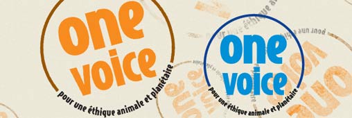 Tests sur les animaux : le label One Voice Bleu (partie 3)