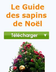 BLOC-sapins-guide.jpg