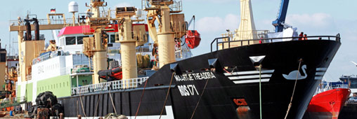 Surpêche – 2000 tonnes de poissons illégales pour un chalutier