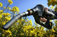 biocarburants 