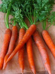 Manger des carottes 