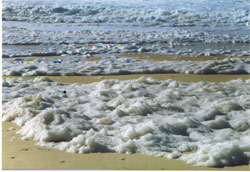 ocean-pollue