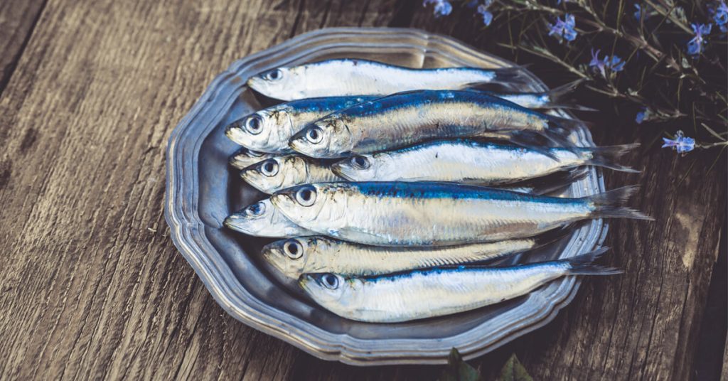 La sardine le plein de vitamine D et d'oméga3