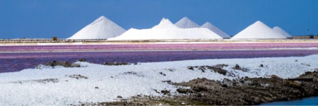 Quelle est la différence entre le sel qu'on mange et le sel qu'on